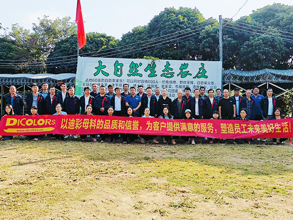 公司团建